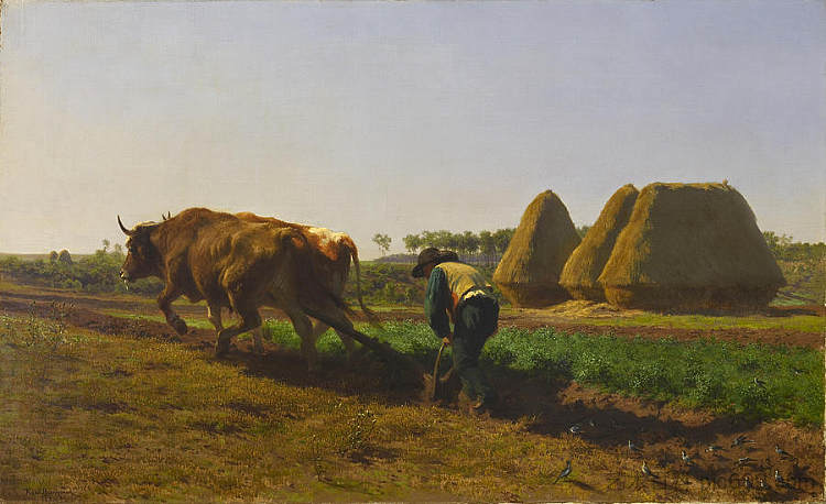 犁地场景 Ploughing Scene (1854)，罗莎·博纳尔