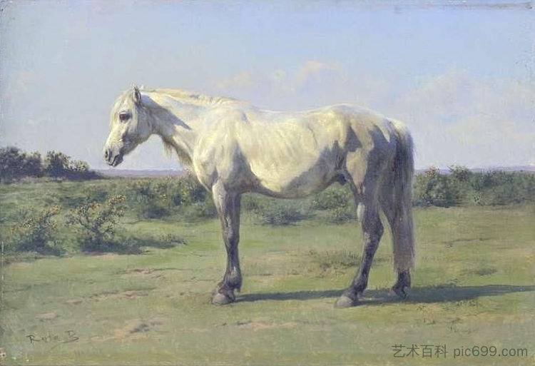 田野里的灰马 A Grey Horse in a Field (1873)，罗莎·博纳尔