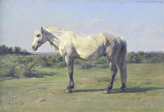 田野里的灰马 A Grey Horse in a Field (1873)，罗莎·博纳尔