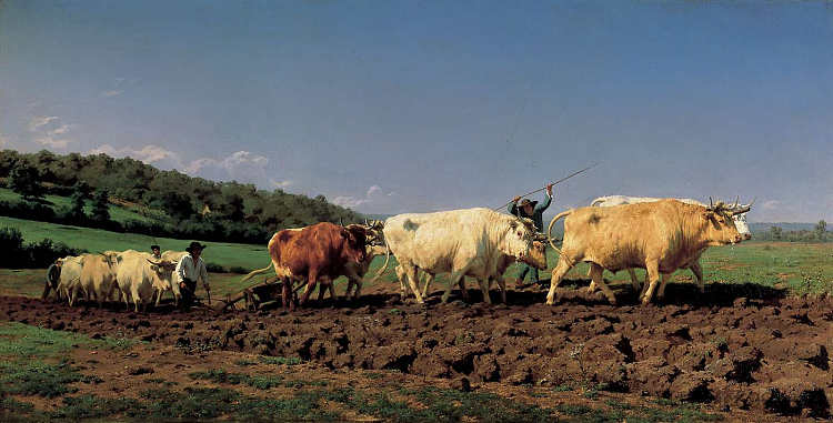 在尼韦尔奈耕作 Plowing in the Nivernais (1849)，罗莎·博纳尔