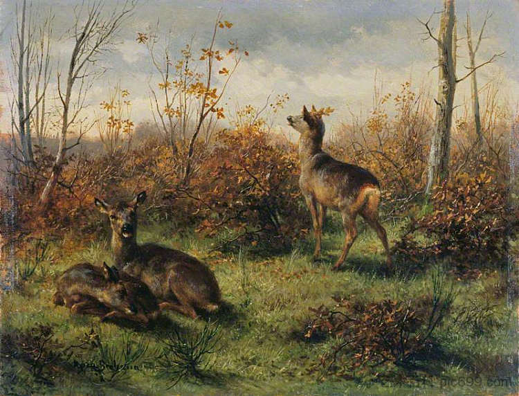 狍 Roe Deer (1860)，罗莎·博纳尔