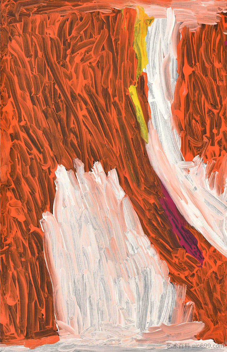 迪伯迪比乡村 Dibirdibi Country (2011),莎莉·加博里
