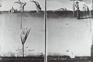 沙漠中的花 Flower in the Desert (1946)，萨尔瓦多·达利