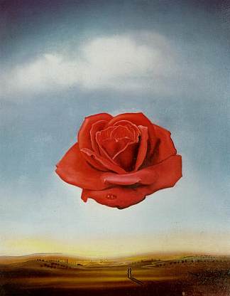 冥想的玫瑰 Meditative Rose (1958)，萨尔瓦多·达利