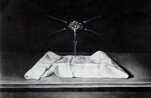 神秘康乃馨 Mystical Carnation (1950 - 1951)，萨尔瓦多·达利