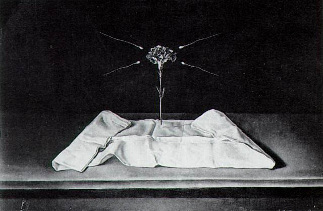 神秘康乃馨 Mystical Carnation (1950 - 1951),萨尔瓦多·达利