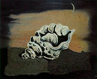 壳 Shell (1928)，萨尔瓦多·达利