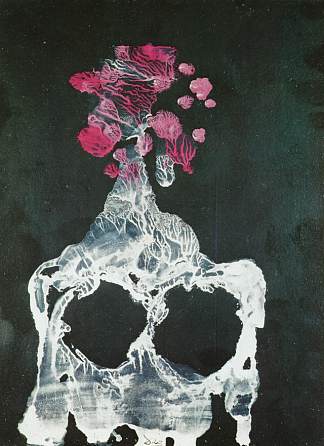 脊椎动物石窟 – 转移系列 The Vertebrate Grotto – Transfer Series (1936)，萨尔瓦多·达利
