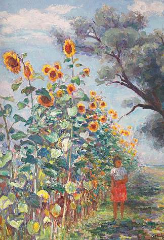 向日葵长大了 The Sunflower Has Grown (1944)，塞缪尔·穆茨纳