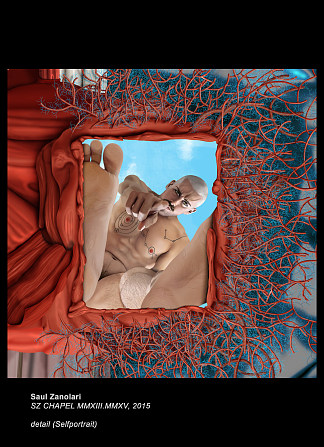 自画像（细节） Self Portrait (Detail ) (2013 – 2015)，索尔·扎诺拉里