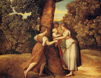 阿多尼斯的诞生 Birth of Adonis (c.1510)，塞巴斯蒂亚诺·德尔·皮翁博