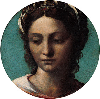一个女人的头 Head of a Woman (1530)，塞巴斯蒂亚诺·德尔·皮翁博