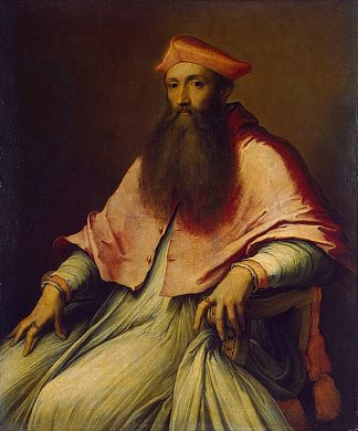 红衣主教雷金纳德·波尔的肖像 Portrait of Cardinal Reginald Pole (1540)，塞巴斯蒂亚诺·德尔·皮翁博