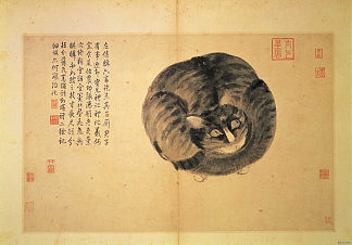 猫（生活素描） Cat (Sketches from Life)，沈周