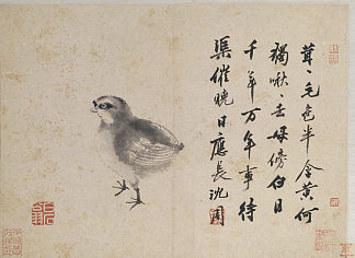 鹌鹑（生活素描） Quail (Sketches from Life)，沈周