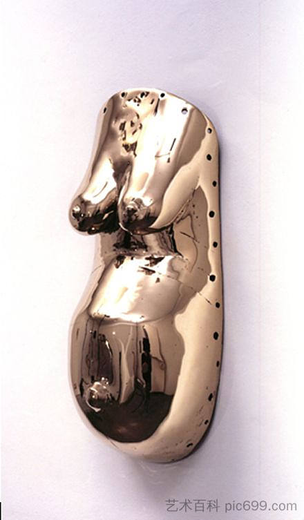 身体面罩 Body Mask (2007)，雪莉·勒文