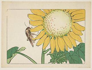 蚱蜢和向日葵 Grasshopper and sunflower (1877)，柴田是真