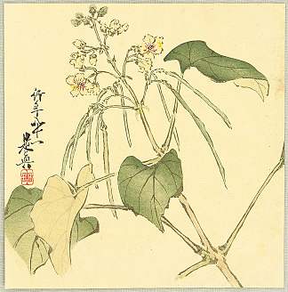 夏日花 Summer Flower (1888)，柴田是真