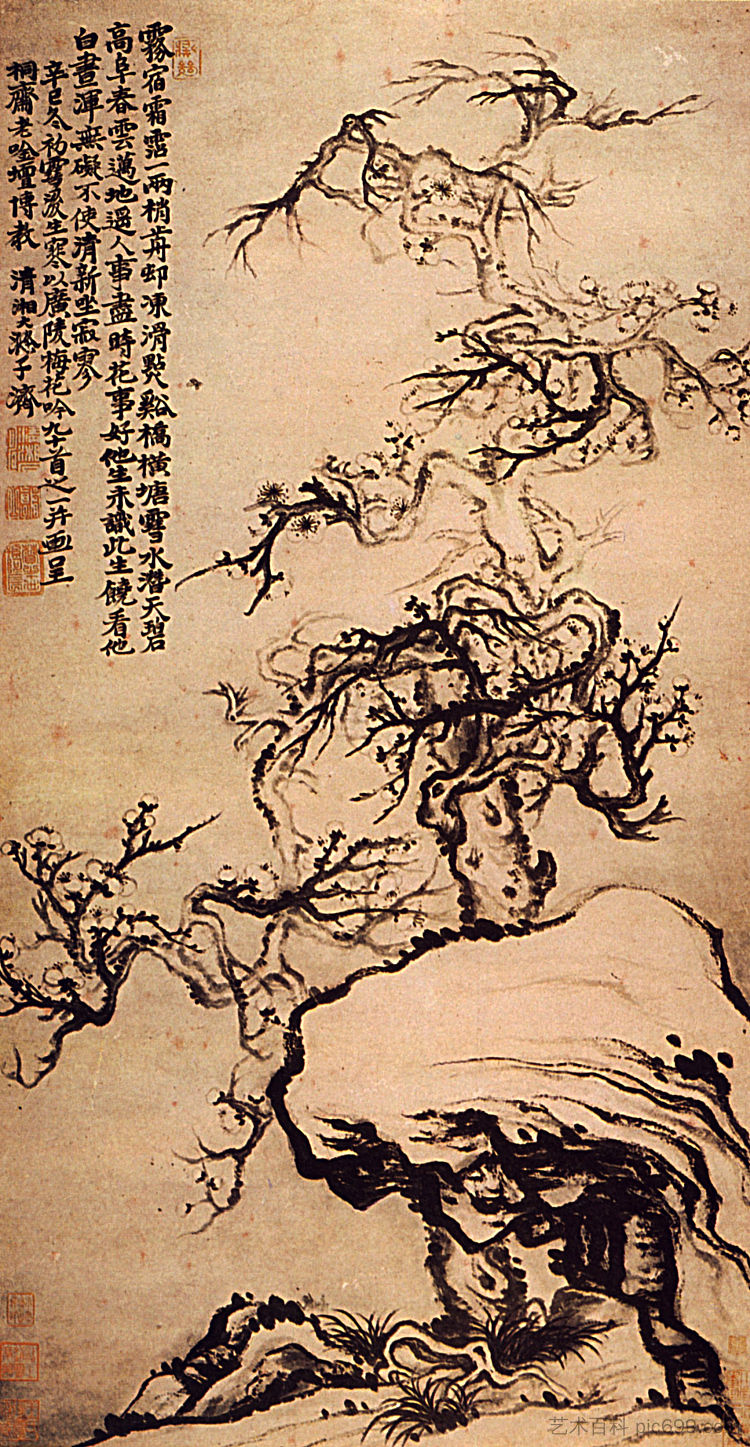 岩石中的李子 Prunus among the Rocks (1656 - 1707)，石涛