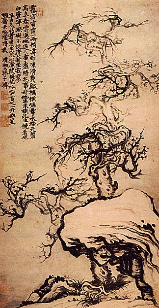 岩石中的李子 Prunus among the Rocks (1656 – 1707)，石涛