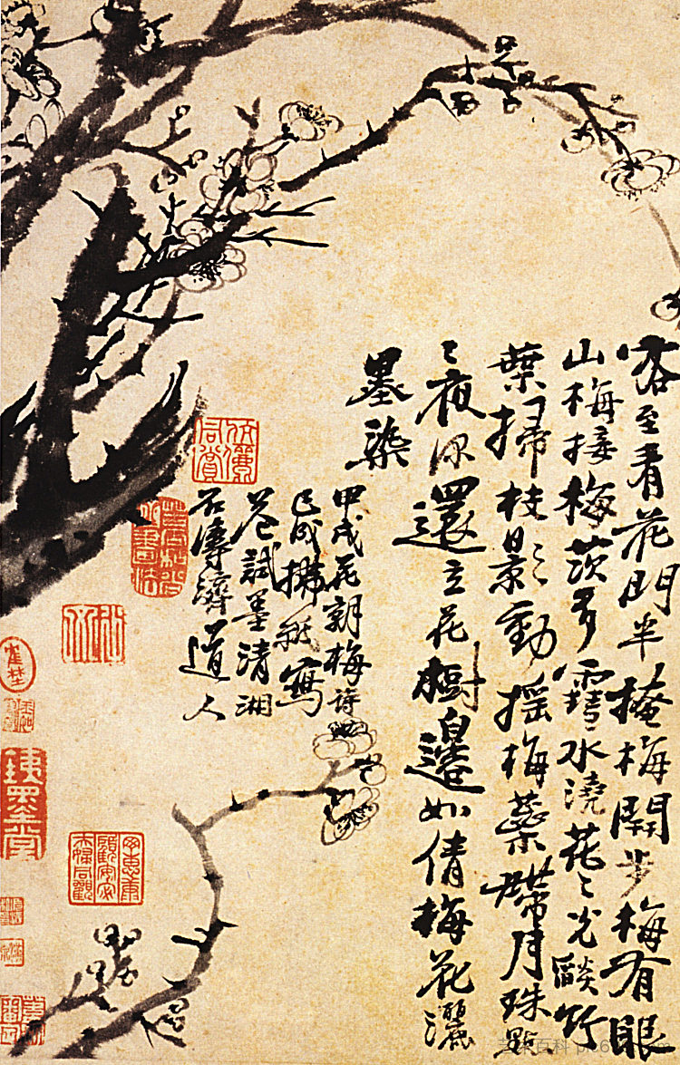 花中的李子 Prunus in flower (1694)，石涛