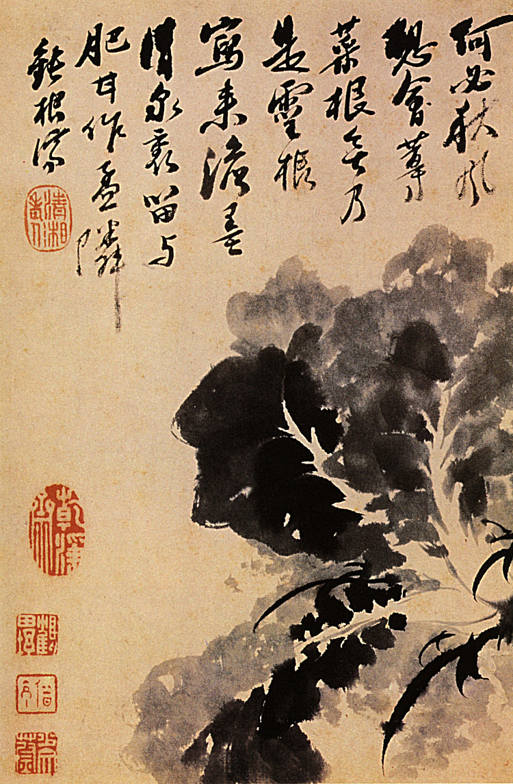 卷心菜主管 Tete de Chou (1694)，石涛