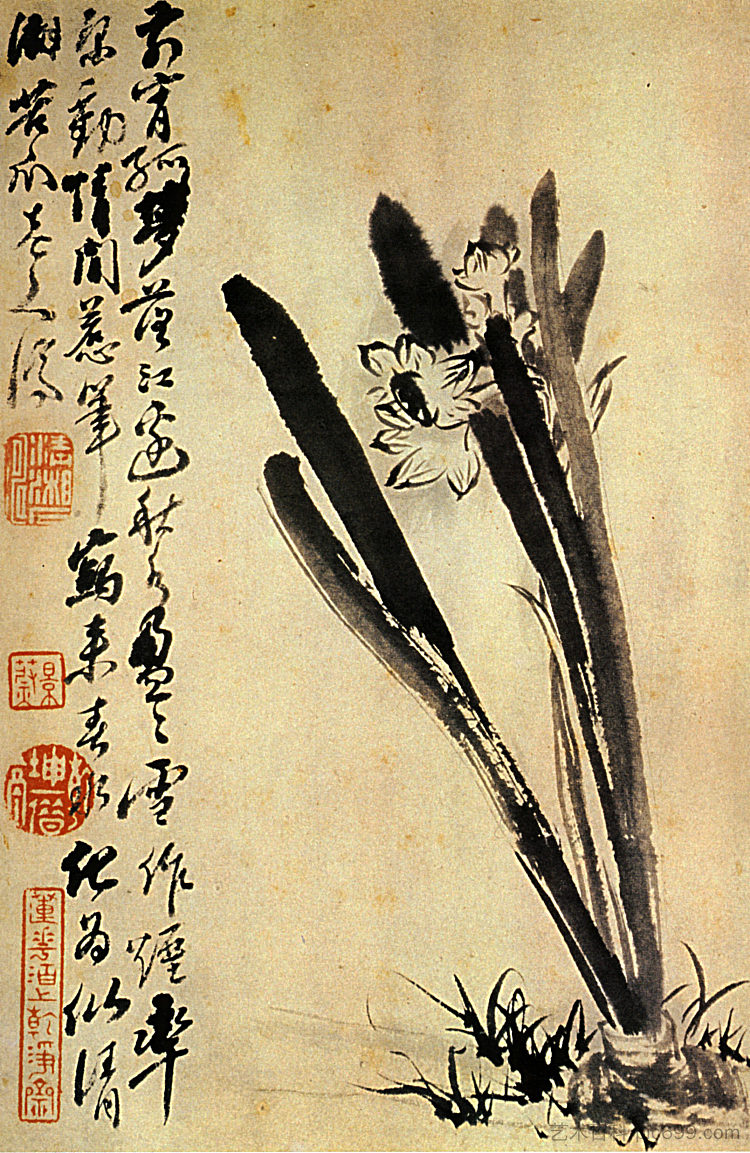 水仙花 The Daffodils (1694)，石涛