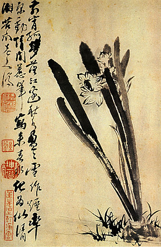 水仙花 The Daffodils (1694)，石涛