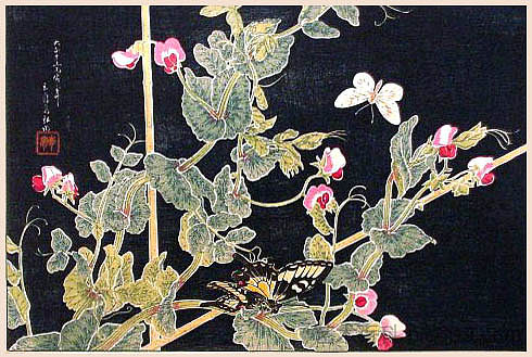 甜豆和蝴蝶 Sweetpeas and Butterflies (1926)，高桥松亭