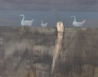 空心天鹅 #6 Cisnes Huecos #6，恩里克·西尔维斯特