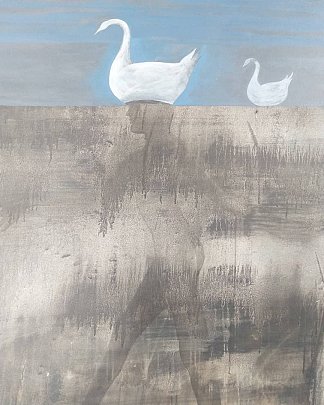 空心天鹅 #9 Cisnes Huecos #9，恩里克·西尔维斯特