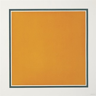 颜色叠加在边框内的正方形 A Square With Colors Superimposed Within a Border (1991)，索尔·勒维特
