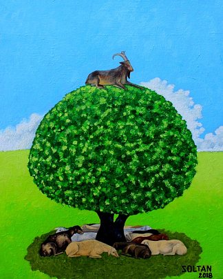 在树的顶端 At the Top of the Tree (2018)，Soltan Soltanlı