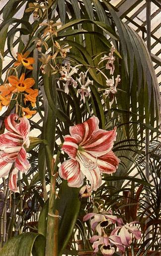 兰花、百合、棕榈树 Orchids, Lilies, Palms (1945)，斯坦利·斯宾塞