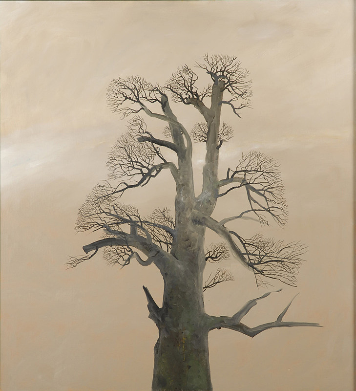 修道院栗树 Monastery Chestnut Tree (2006)，斯特凡卡蒂亚