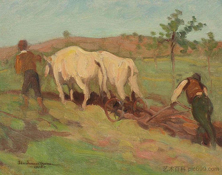 犁地 Ploughing (1915)，斯特凡·迪米特雷斯库