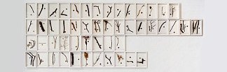最后拼贴（50个单位） Last Collage (50 units) (2002)，斯蒂芬安东纳科斯