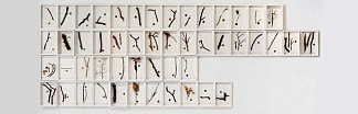 最后拼贴（50个单位） Last Collage (50 units) (2002)，斯蒂芬安东纳科斯