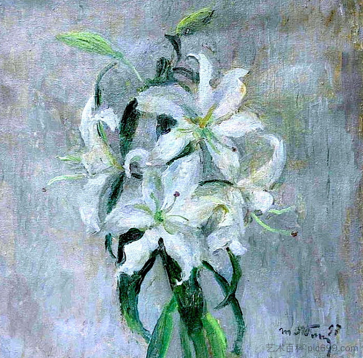 百合花，女儿的礼物 Lilies, a Present from the Daughter (1997)，塔提亚纳亚布隆斯卡