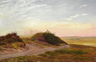 日德兰荒原景观 Jutlandic heath landscape，西奥多·菲利普森
