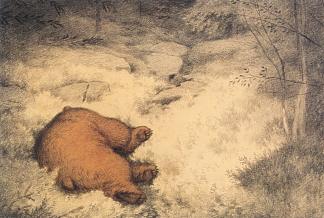 布鲁因在蓝莓丛中睡着了 Bruin asleep in the Blueberry Bushes (1900)，蒂奥多·吉特尔森