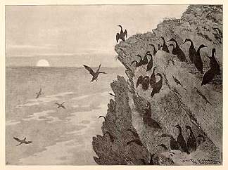 鸬鹚 Cormorant (1891)，蒂奥多·吉特尔森