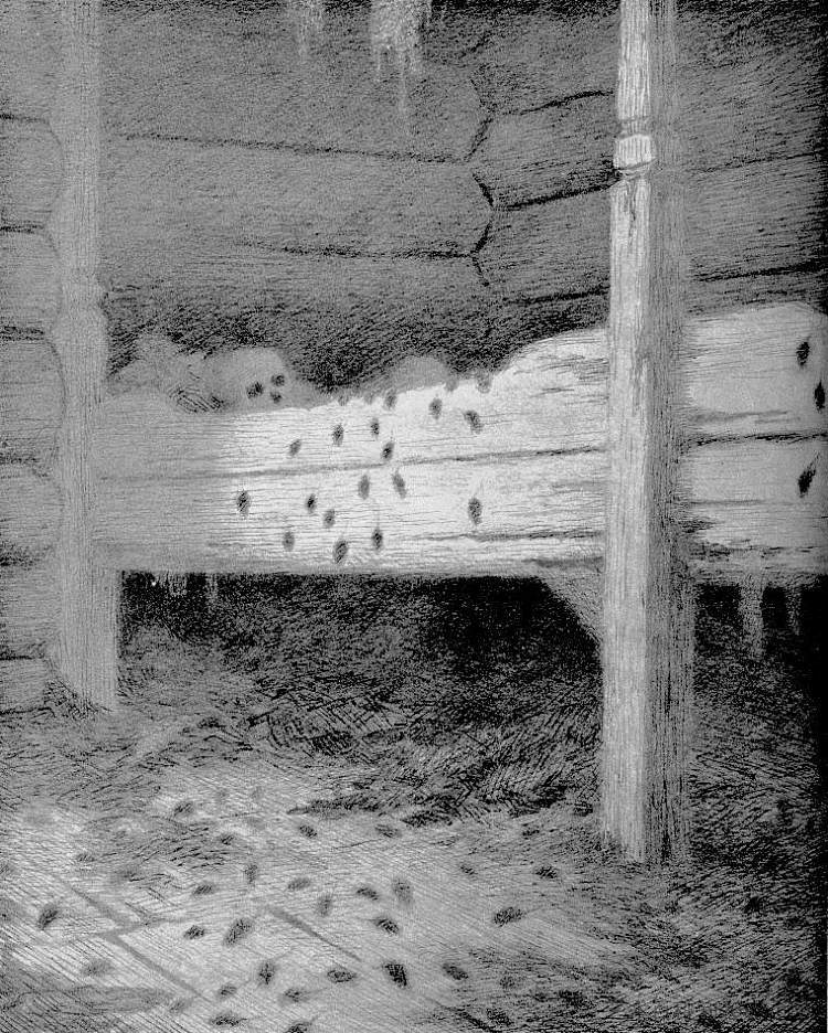 穆斯塔德 Musstad (1900)，蒂奥多·吉特尔森