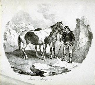 奥弗涅的马 Horses of the Auvergne (1822; France                     )，西奥多·杰利柯