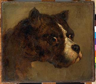 斗牛犬的头 The head of bulldog，西奥多·杰利柯
