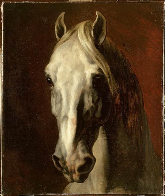 白马头 The head of white horse (1815)，西奥多·杰利柯