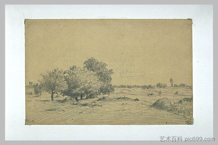 低地景观 Lowland landscape，西奥多·卢索