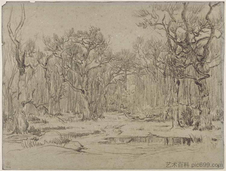 冬天的森林 The Forest in Winter，西奥多·卢索