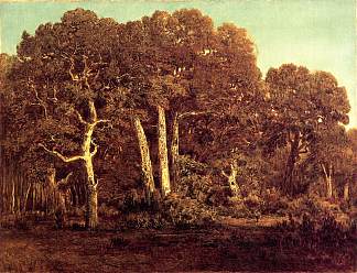 老下布罗的大橡树 The Great Oaks of Old Bas-Breau (1864)，西奥多·卢索