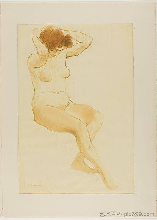 四分之三的女人在梳头 Femme de Trois Quarts Se Coiffant (1902)，索菲尔·史坦林